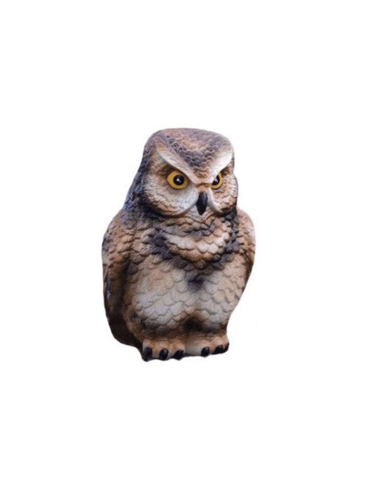 Чучело Сова, фото 1