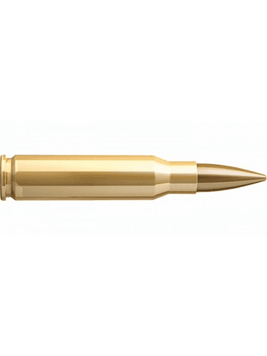 Патрон .308 WIN «Sellier&Bellot» FMJ 11.7г., 20шт. 591e21f4991b9daa9e6f3f09f394cf8c_изображение_2026-08-20_112423520.png
