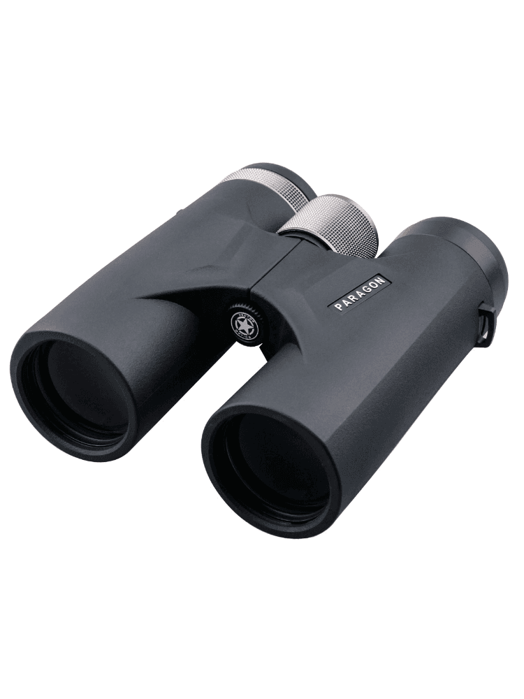 Бинокль Vector Optics Paragon 8x42 acf8ad7ddbb72979a6b8c89c21982a15_изображение_2026-07-29_134810337.png