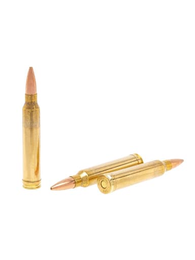 Патрон PPU 7,62/51 (.300 Win Mag) экспансивная (HP BT) 12,3г., 20шт. 0e01a7c3c0c074cb29bc147de05f4cec_85iyau2ykqqwcc5wd8aba2jha6zftob1.jpg